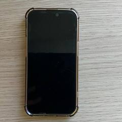 Smartphone Apple, a été signalé par Centraal magazijn utilisant iLost