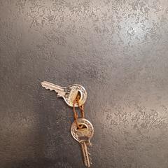 2 Sleuteltjes, as reported by Rotterdam The Hague Airport using iLost