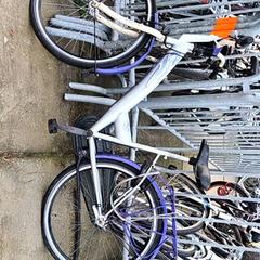Bicycle Grijs/paars, as reported by Stadswerk072 using iLost