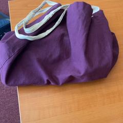 Borsetta, come riportato da Arriva Achterhoek-Rivierenland utilizzando iLost