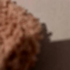 Manteta, segons ha informat De Efteling mitjançant iLost