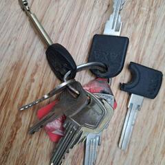 Llave, ha sido reportado por Gemeente Zeist con iLost