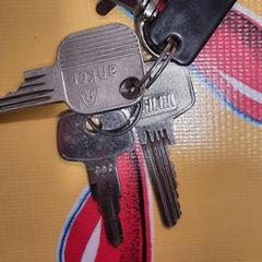 Sleutelbos, iLost'a bildirildiği gibi