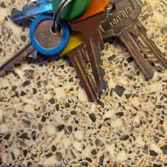 Sleutelbos a été signalé sur iLost