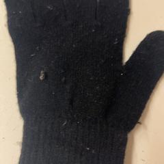 장갑, iLost를 사용하여 Het Amsterdamse Winterparadijs에 보고됨