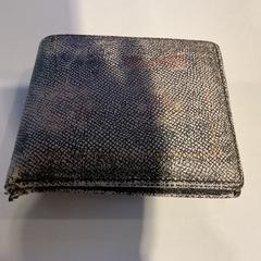 Cartera Op naam van wang xin chen, segons ha informat Gemeente Amsterdam mitjançant iLost