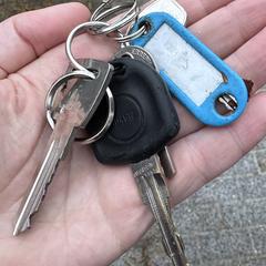 Sleutelbos, som rapportert til iLost