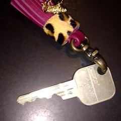 Chaveiro, como reportado por TivoliVredenburg utilizando o iLost