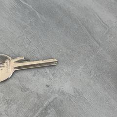 Sleutel, zoals gemeld door Arriva Achterhoek-Rivierenland met iLost