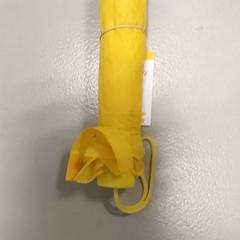 Guarda-chuva, como reportado por Regio West-Vlaanderen utilizando o iLost