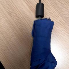 Parasol Blauw, zgłoszono przez Transdev Hoeksche Waard Goeree Overflakkee przy użyciu iLost