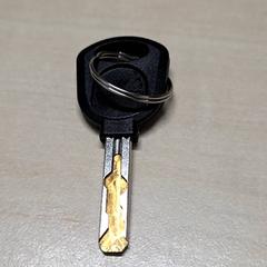 Klucz, zgłoszono przez Arriva Oost-Brabant przy użyciu iLost