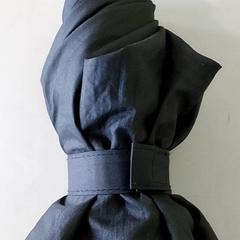 Parapluie, a été signalé par Regio Antwerpen - Brussel utilisant iLost