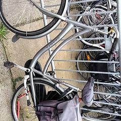 Bicicleta feminina sparta, segundo informou Stadswerk072 usando iLost