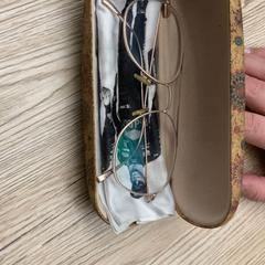 Estuche para gafas con gafas, ha sido reportado por Pathé Delft con iLost