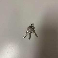Keys, as reported by IKEA Praha – Černý Most using iLost