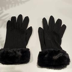 Handschoenen, zoals gemeld door Centraal magazijn met iLost