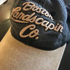 Pet, gemeldet von Pathé Breda über iLost