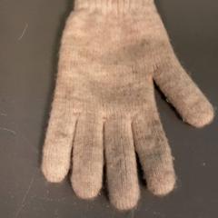 Guanto, come riportato da Diergaarde Blijdorp utilizzando iLost