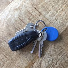 Sleutelbos, jak bylo nahlášeno na iLost