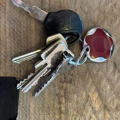 Klíče met autosleutel Peugeot, jak nahlášeno Paaspop pomocí iLost