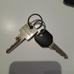 Sleutelbos met 2 sleutels, ako bolo nahlásené iLost