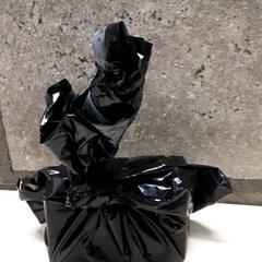 Sac, a été signalé par Arriva Oost-Brabant utilisant iLost