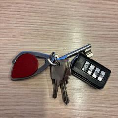 Kľúčenka, ako bolo nahlásené Gemeente Medemblik pomocou iLost