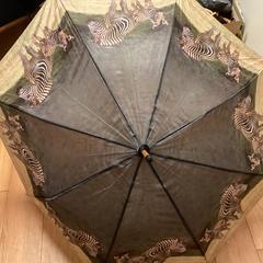 Paraply - 071225 MAN, rapporterat av Ziggo Dome med iLost