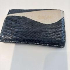 카드 홀더, iLost를 사용하여 Arriva Limburg Zuid에 보고됨