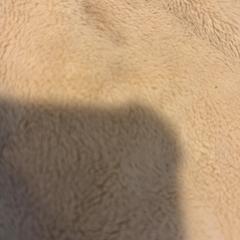 Peluche, come riportato da De Tovertuin utilizzando iLost
