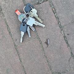 Sleutels, segons s'ha informat a iLost