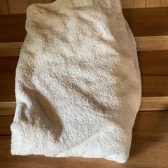 Towel, as reported by Attractie- & Vakantiepark Slagharen using iLost