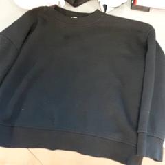 Sveter, ako bolo nahlásené Diergaarde Blijdorp pomocou iLost