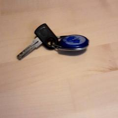 鍵 がiLostで LUMC によって報告されました