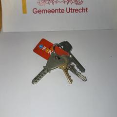 Sleutelbos, zoals gemeld door Gemeente Utrecht met iLost