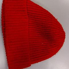 Gorro, segundo informou Vrije Universiteit Amsterdam usando iLost