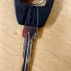 Sleutel, zoals gemeld door Qbuzz GD Groningen Peizerweg met iLost