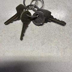 Sleutelbos, as reported to iLost