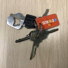 Sleutelbos, gisa salatu by Gemeente Arnhem iLost erabiliz