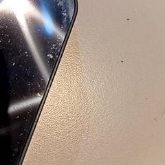 Phone, as reported by De Efteling using iLost