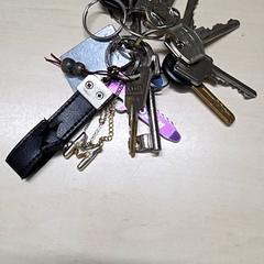Klucze, zgłoszono przez Arriva Oost-Brabant przy użyciu iLost