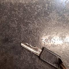 Chave, como reportado por Rotterdam The Hague Airport utilizando o iLost