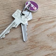 2 huissleutels met winkel wagenmuntje, jak bylo nahlášeno na iLost