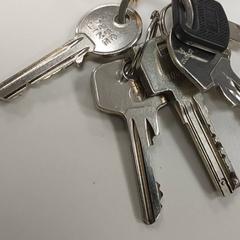 Keys - 5 sleutels, as reported by Centraal magazijn using iLost