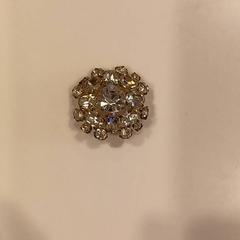 Broche Diamanten، كما تم الإبلاغ عنه بواسطة RAI Amsterdam عبر iLost