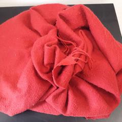 Sjal, som rapportert av Universiteit Gent - Blandijn ved bruk av iLost