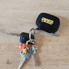 Sleutelbos, segons s'ha informat a iLost