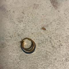 Earring, as reported by Artis using iLost