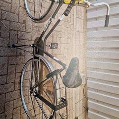 Damenrad, gemeldet von Gemeente Roermond über iLost